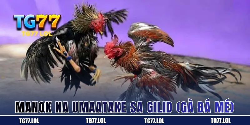 Manok na Umaatake sa Gilid