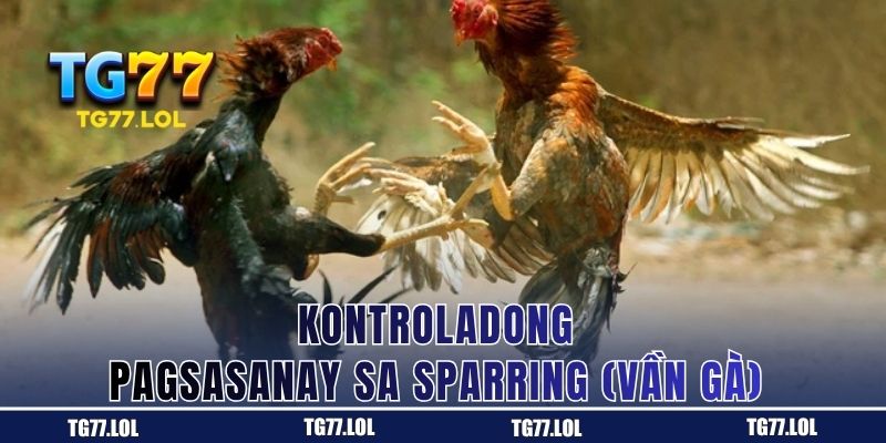 Kontroladong Pagsasanay sa Sparring